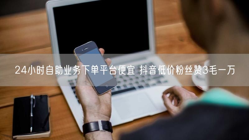 24小时自助业务下单平台便宜 抖音低价粉丝赞3毛一万