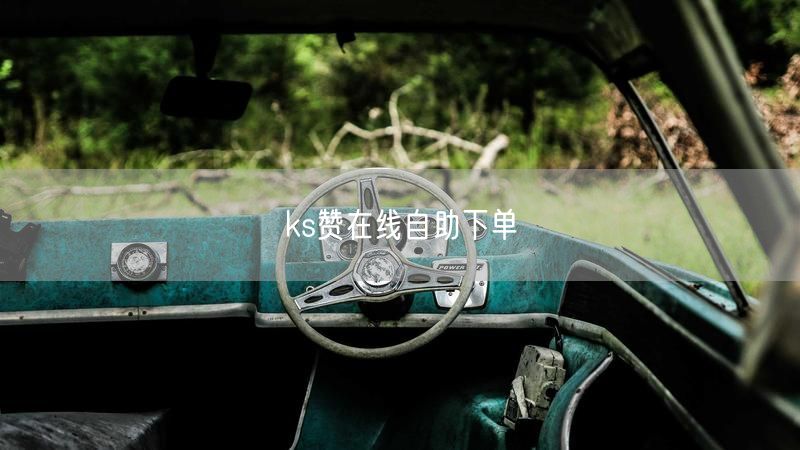 ks赞在线自助下单