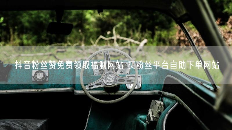 抖音粉丝赞免费领取福利网站 买粉丝平台自助下单网站