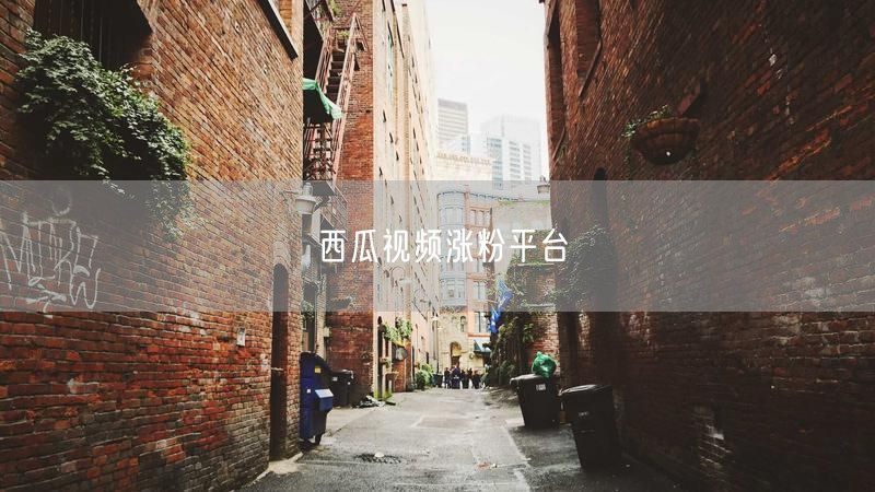 西瓜视频涨粉平台