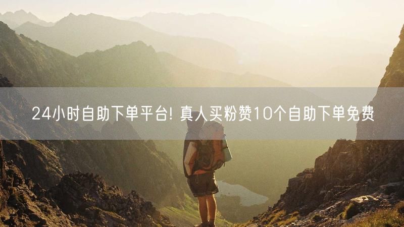 24小时自助下单平台! 真人买粉赞10个自助下单免费