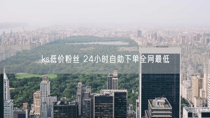 ks低价粉丝 24小时自助下单全网最低