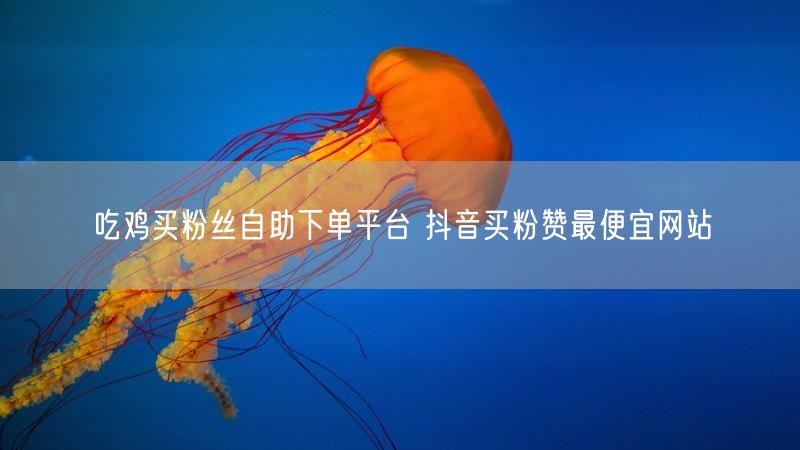 吃鸡买粉丝自助下单平台 抖音买粉赞最便宜网站