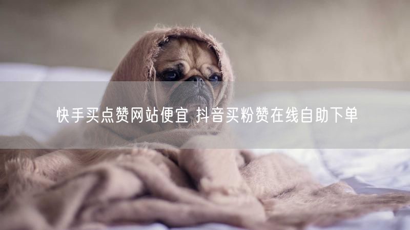快手买点赞网站便宜 抖音买粉赞在线自助下单
