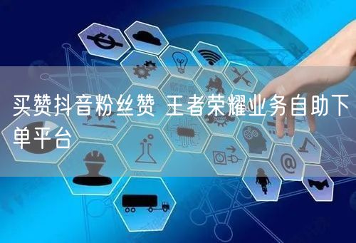 买赞抖音粉丝赞 王者荣耀业务自助下单平台