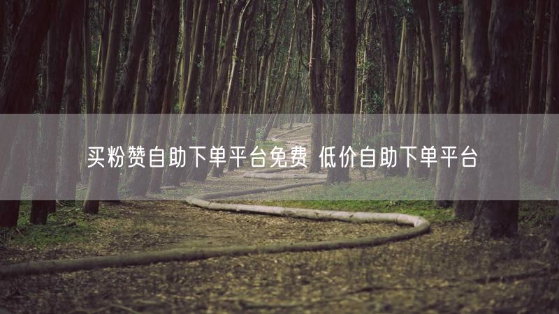 买粉赞自助下单平台免费 低价自助下单平台