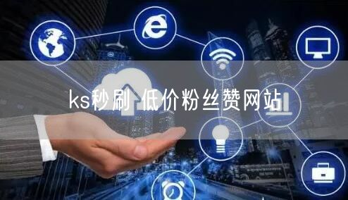 ks秒刷 低价粉丝赞网站