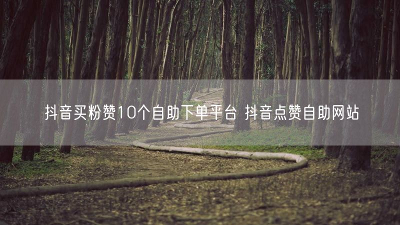 抖音买粉赞10个自助下单平台 抖音点赞自助网站