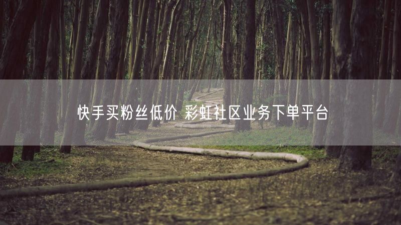 快手买粉丝低价 彩虹社区业务下单平台