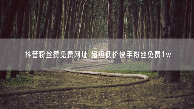 抖音粉丝赞免费网址 超级低价快手粉丝免费1w