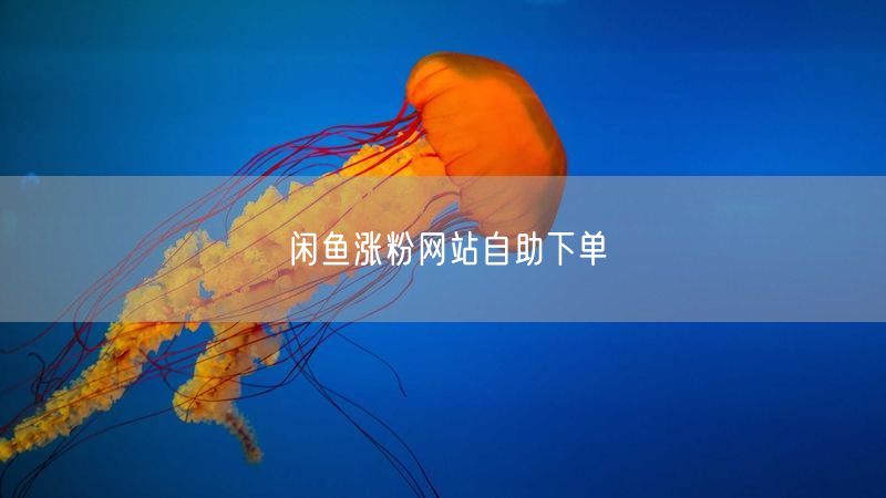 闲鱼涨粉网站自助下单