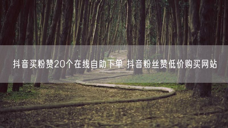 抖音买粉赞20个在线自助下单 抖音粉丝赞低价购买网站