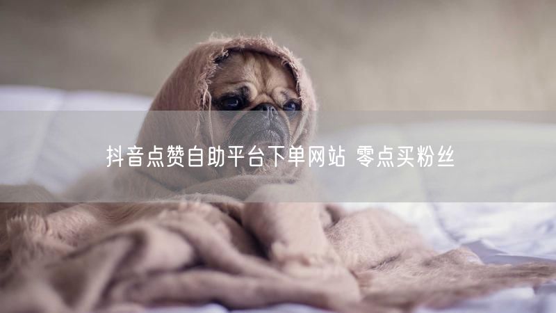 抖音点赞自助平台下单网站 零点买粉丝