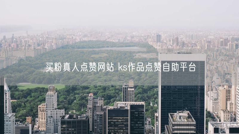 买粉真人点赞网站 ks作品点赞自助平台