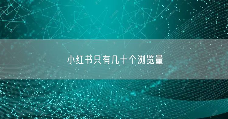 小红书只有几十个浏览量