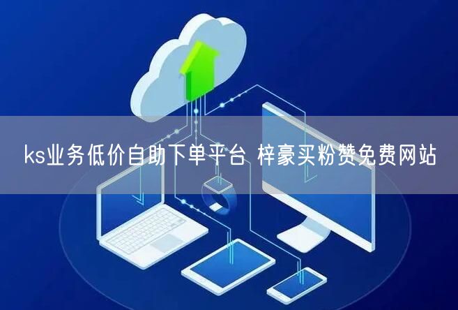 ks业务低价自助下单平台 梓豪买粉赞免费网站