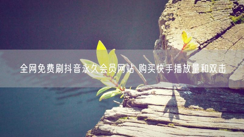 全网免费刷抖音永久会员网站 购买快手播放量和双击