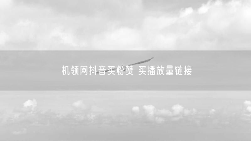 机领网抖音买粉赞 买播放量链接