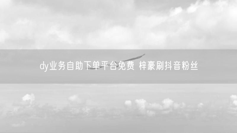 dy业务自助下单平台免费 梓豪刷抖音粉丝