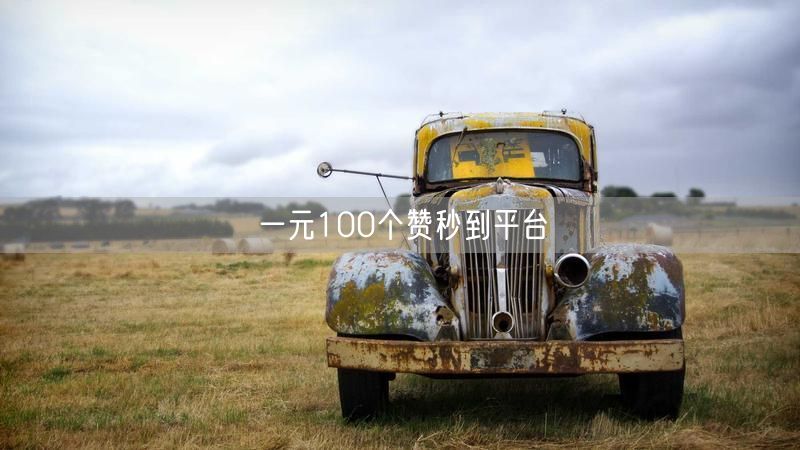 一元100个赞秒到平台