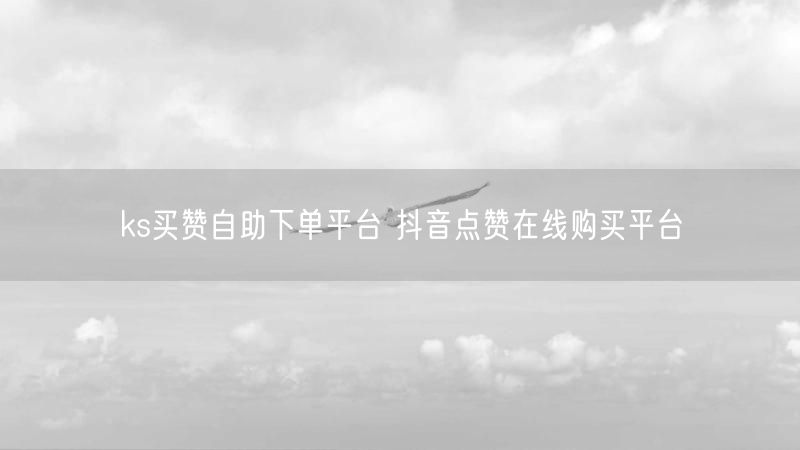 ks买赞自助下单平台 抖音点赞在线购买平台