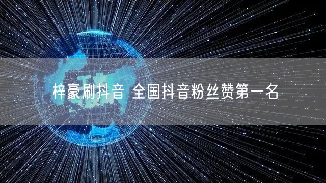 梓豪刷抖音 全国抖音粉丝赞第一名