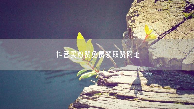 抖音买粉赞免费领取赞网址