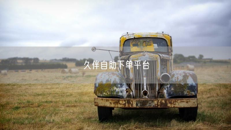 久伴自助下单平台