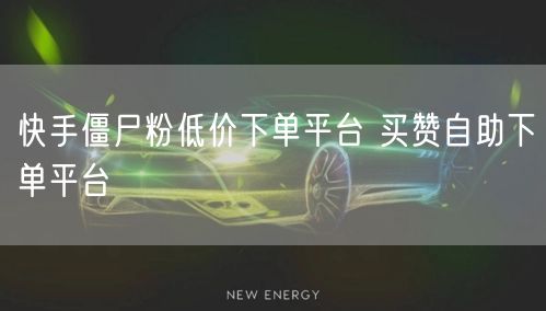 快手僵尸粉低价下单平台 买赞自助下单平台