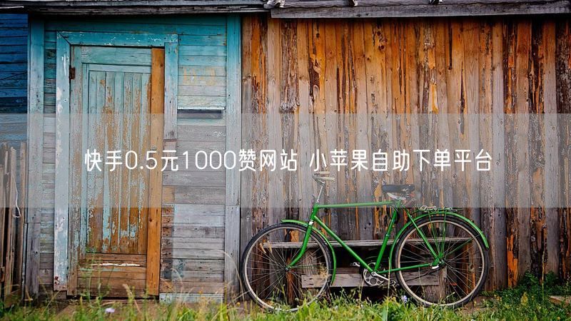 快手0.5元1000赞网站 小苹果自助下单平台