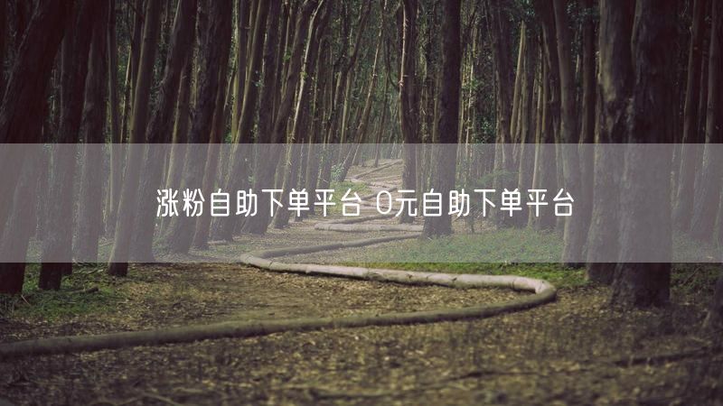 涨粉自助下单平台 0元自助下单平台