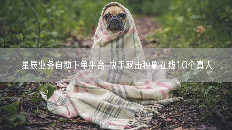 星辰业务自助下单平台 快手双击秒刷在线10个真人