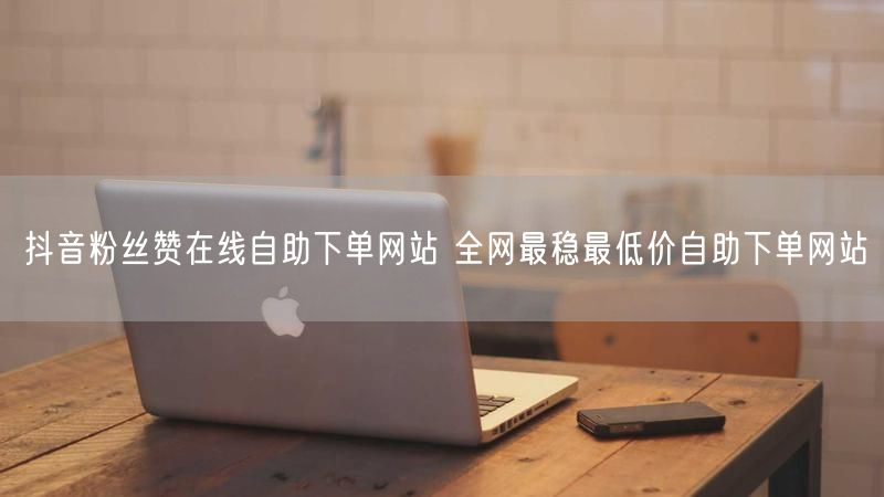 抖音粉丝赞在线自助下单网站 全网最稳最低价自助下单网站