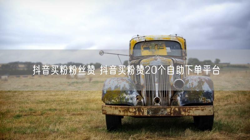抖音买粉粉丝赞 抖音买粉赞20个自助下单平台