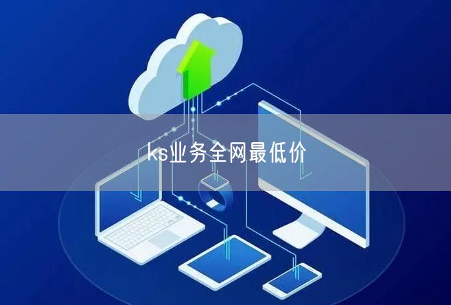 ks业务全网最低价