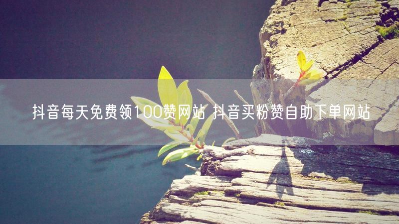 抖音每天免费领100赞网站 抖音买粉赞自助下单网站