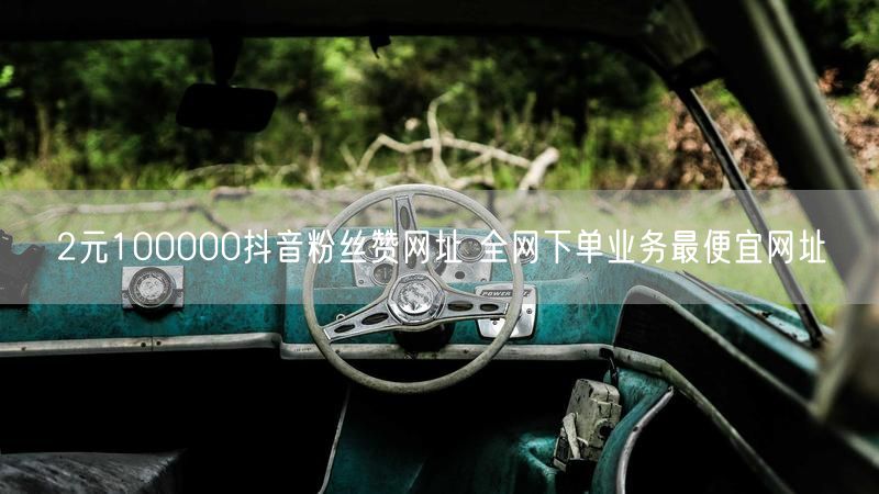 2元100000抖音粉丝赞网址 全网下单业务最便宜网址
