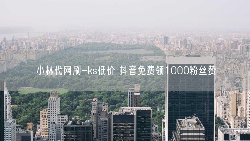 小林代网刷-ks低价 抖音免费领1000粉丝赞