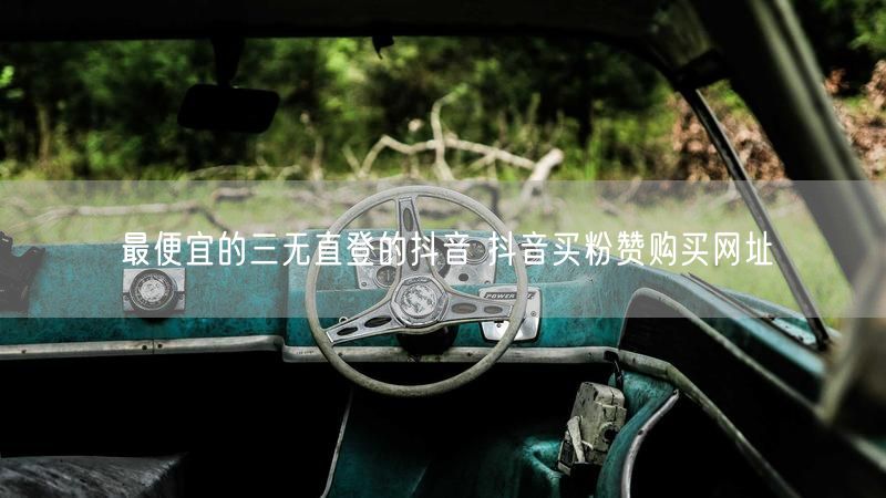 最便宜的三无直登的抖音 抖音买粉赞购买网址