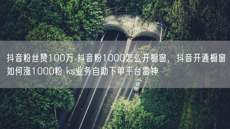 抖音粉丝赞100万 抖音粉1000怎么开橱窗，抖音开通橱窗如何涨1000粉 ks业务自助下单平台雷神