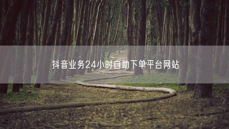 抖音业务24小时自助下单平台网站