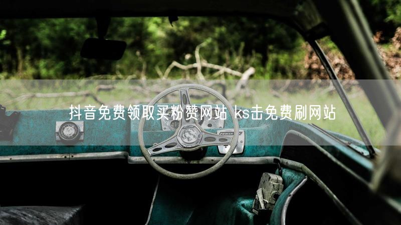 抖音免费领取买粉赞网站 ks击免费刷网站