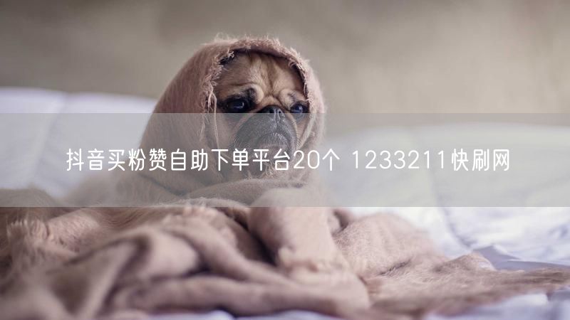 抖音买粉赞自助下单平台20个 1233211快刷网