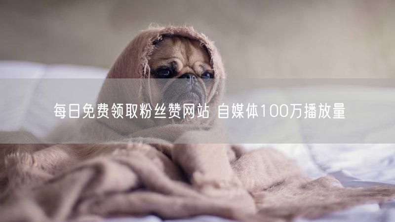 每日免费领取粉丝赞网站 自媒体100万播放量