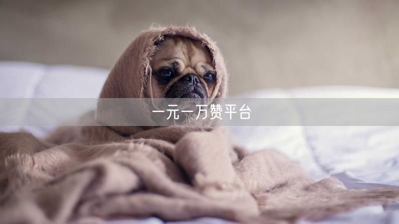 一元一万赞平台