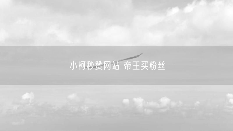 小柯秒赞网站 帝王买粉丝