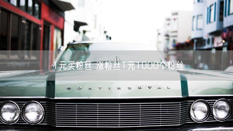 1元买粉丝 涨粉丝1元1000个粉丝