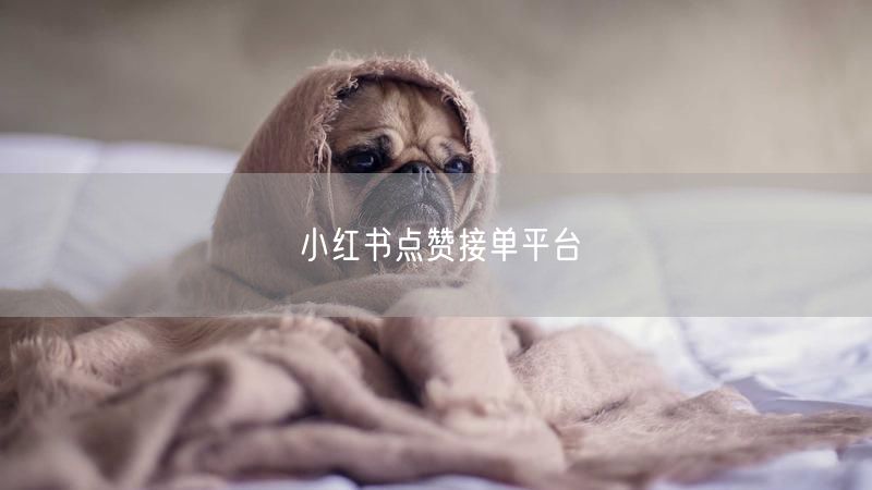 小红书点赞接单平台