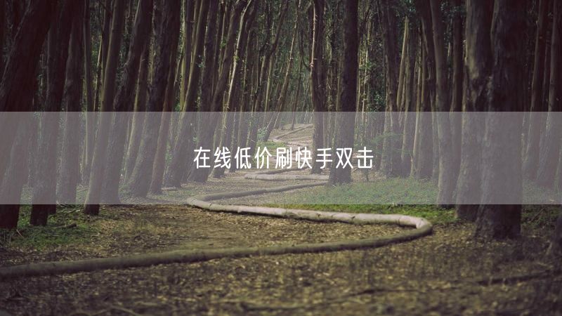 在线低价刷快手双击