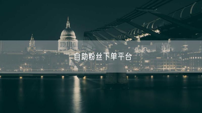 自助粉丝下单平台